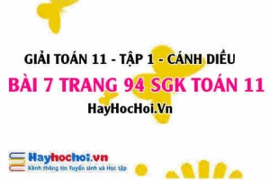 Giải bài 7 trang 94 Toán 11 tập 1 SGK Cánh Diều